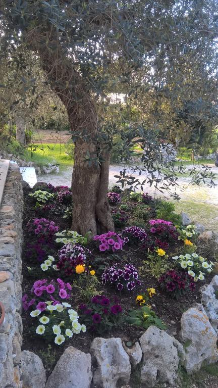 Vacanze Al Minci جوردينيانو المظهر الخارجي الصورة